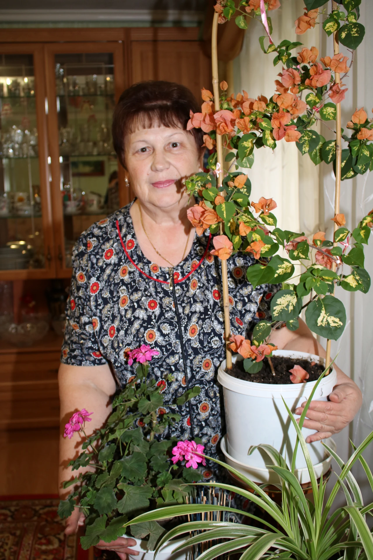 🌺 За год вровень с окном!