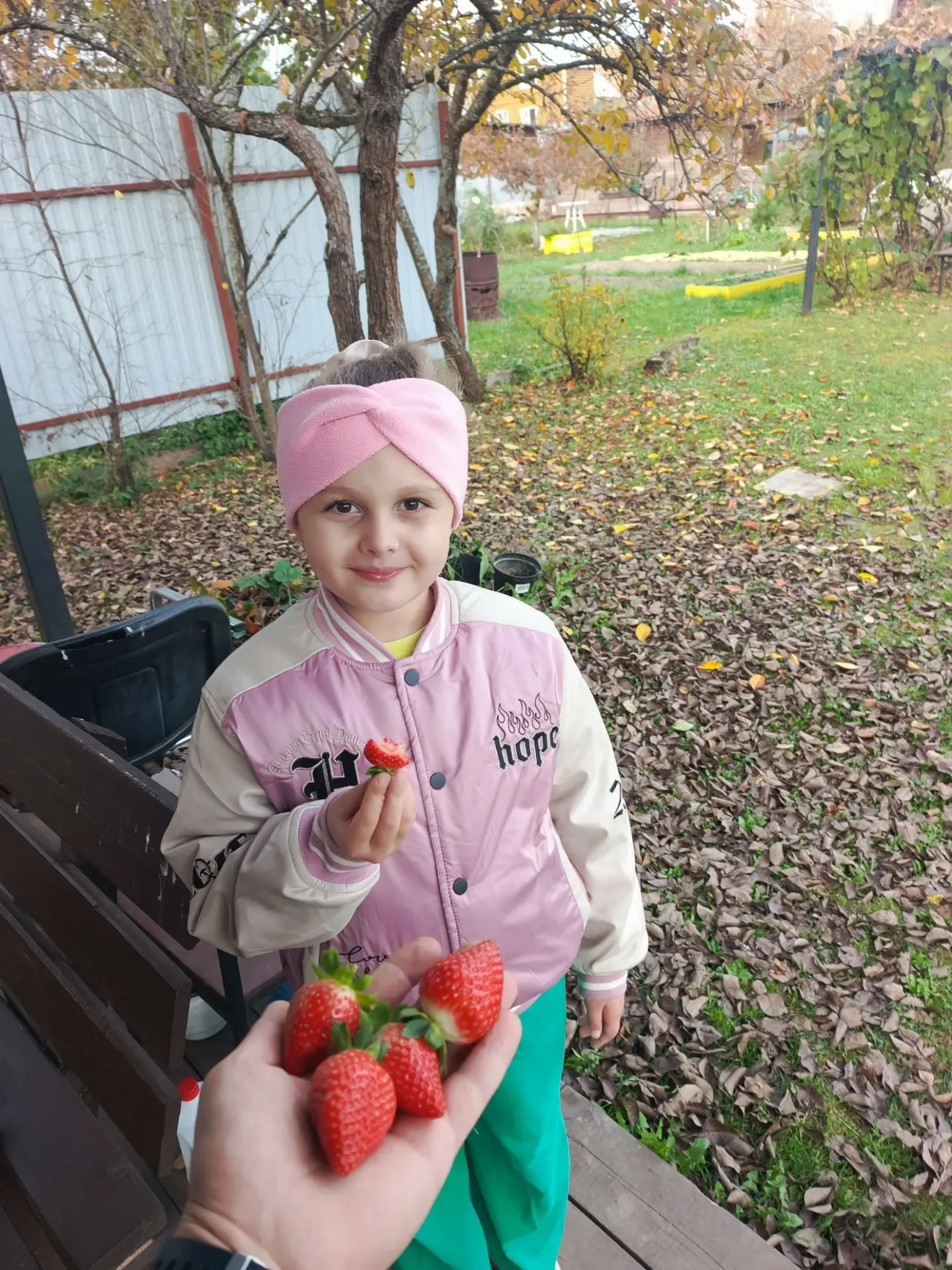 Всем привет. Сегодня приехали полить клубнику и немного даже смогли поесть)