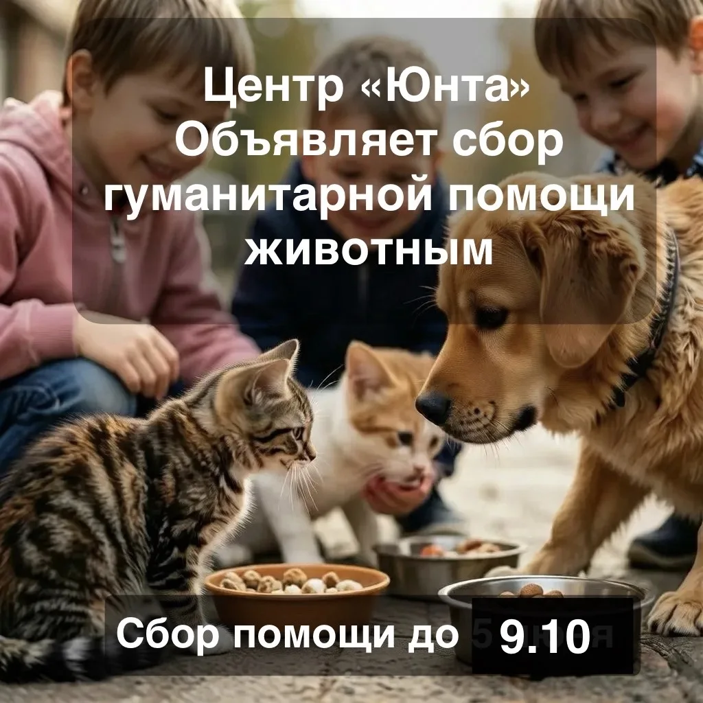🐾 В Центре «ЮНТА» стартовала благотворительная акция «Накорми хвостика»! 🐾