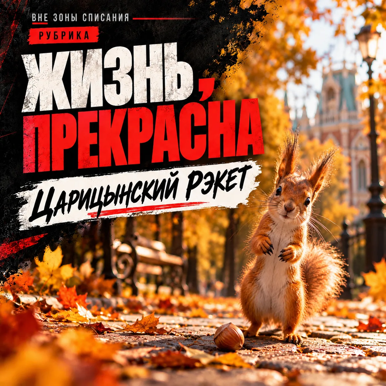 Белки в Царицыно за последние годы совершенно распустились.