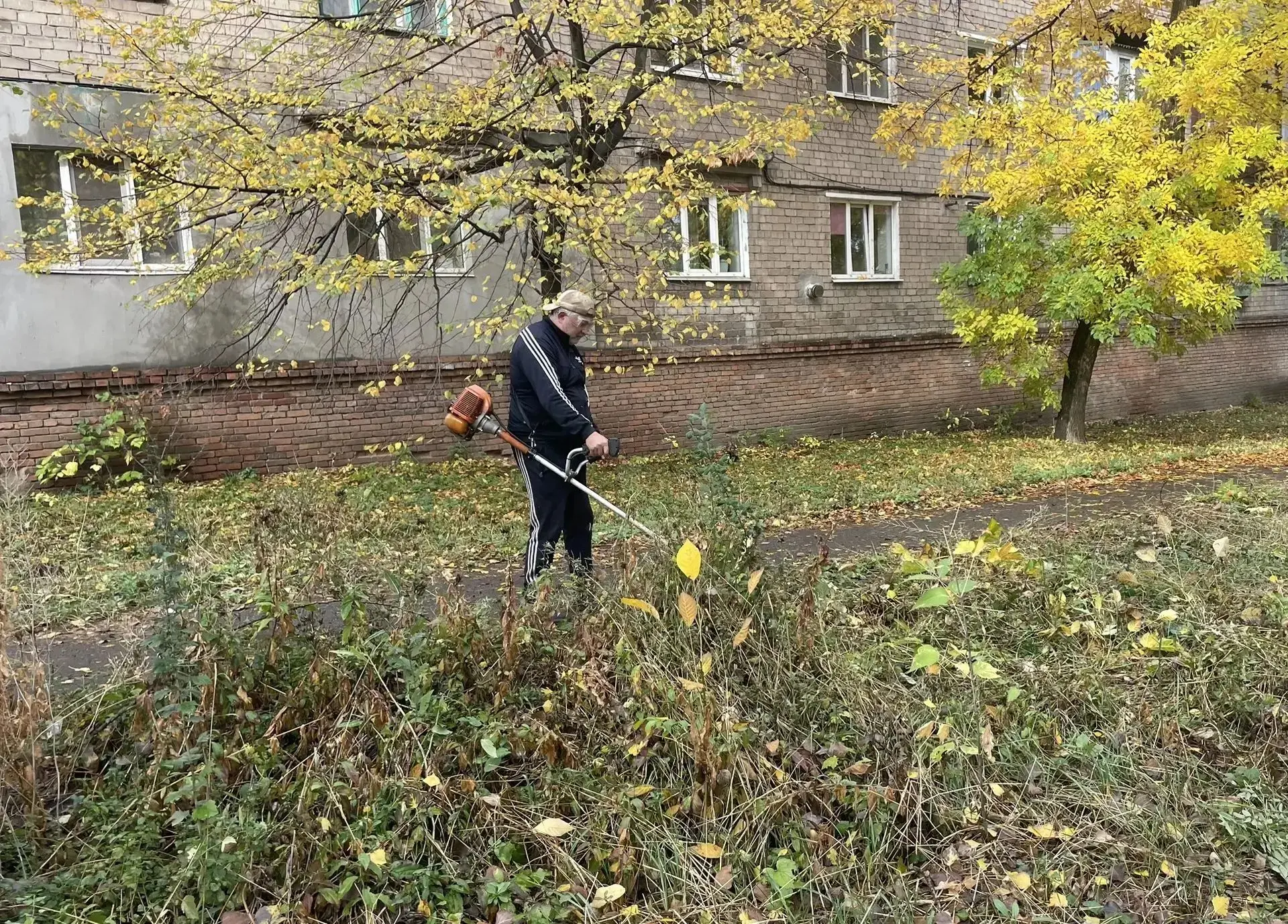 В Центрально-Городском районе провели покос травы на улице Седова