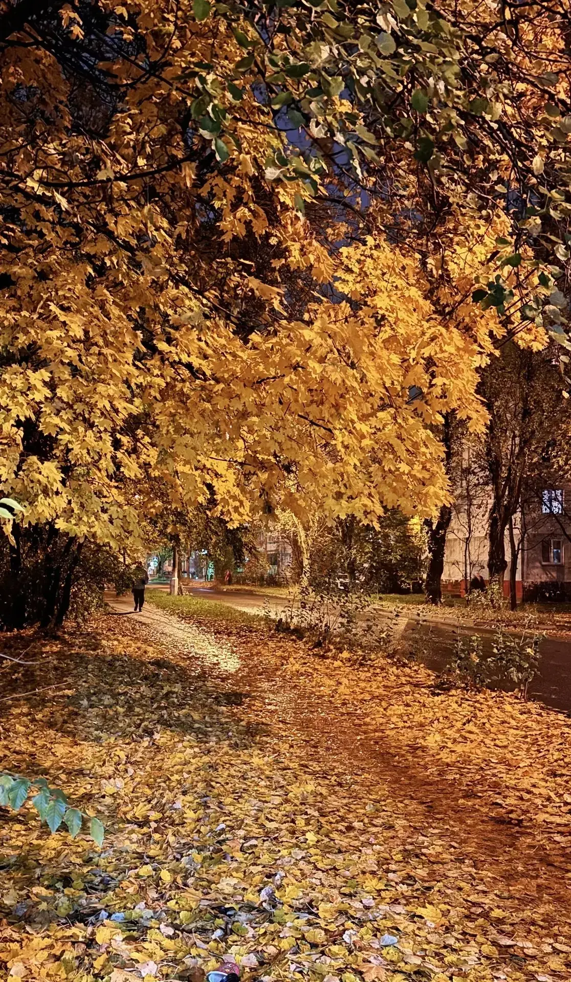 Осенний город вечером...