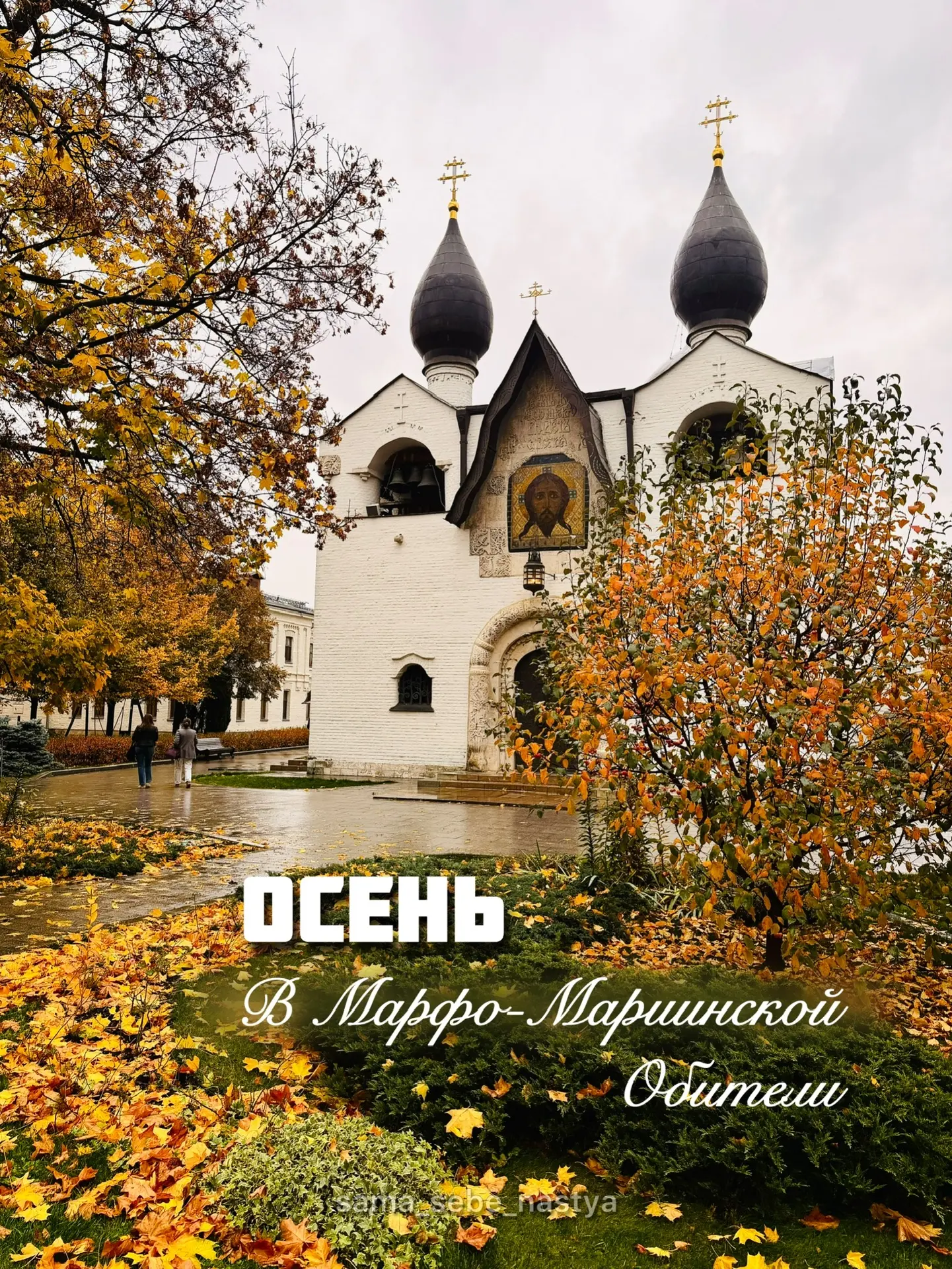 Фотографии сделаны вчера в попытке остановить прекрасное мгновение❤️🍁