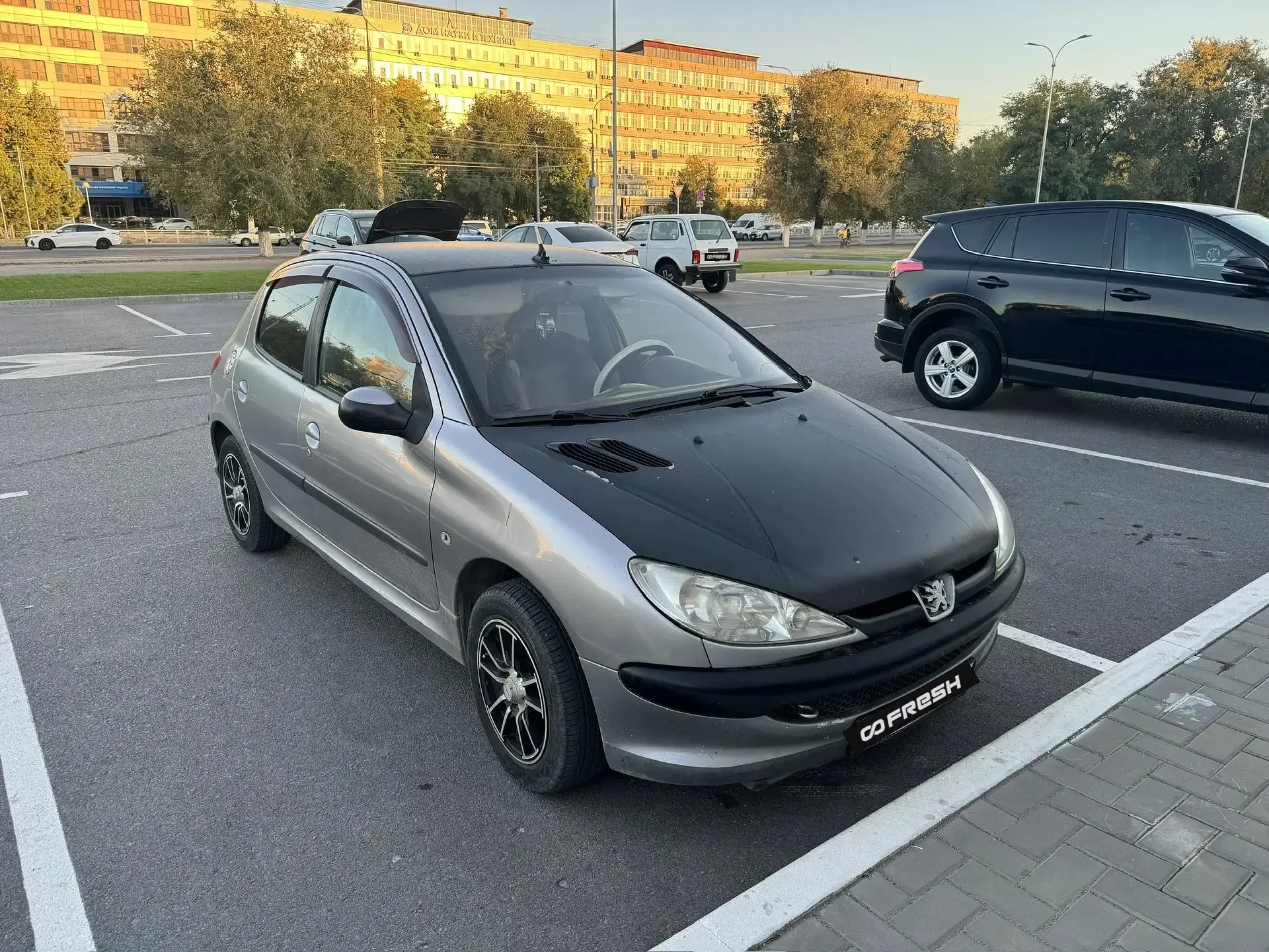 Peugeot 206, 2005