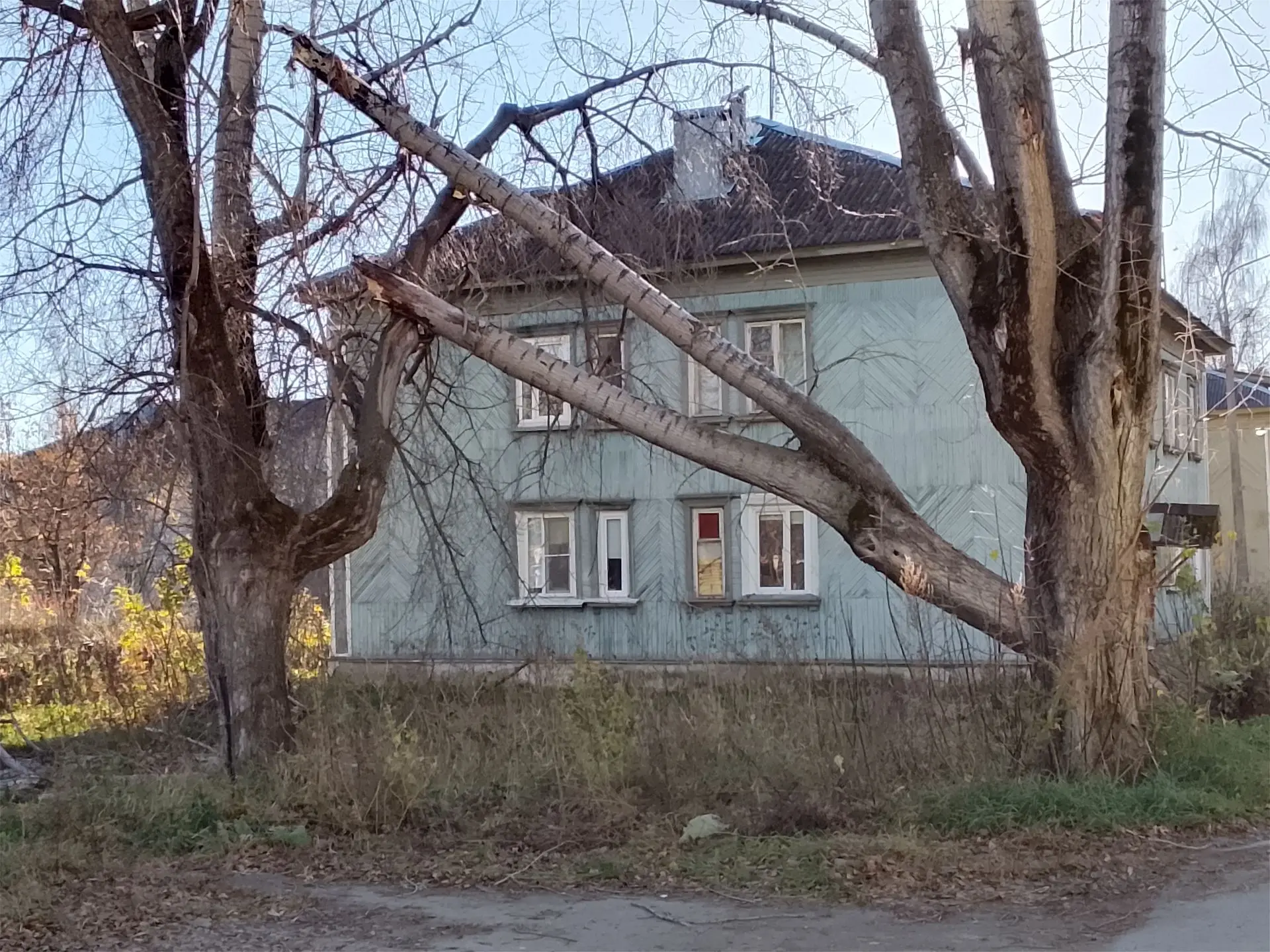 В продолжение темы улицы Чапаева. Летом я уже писала, что вся улица заросла травой и ку...