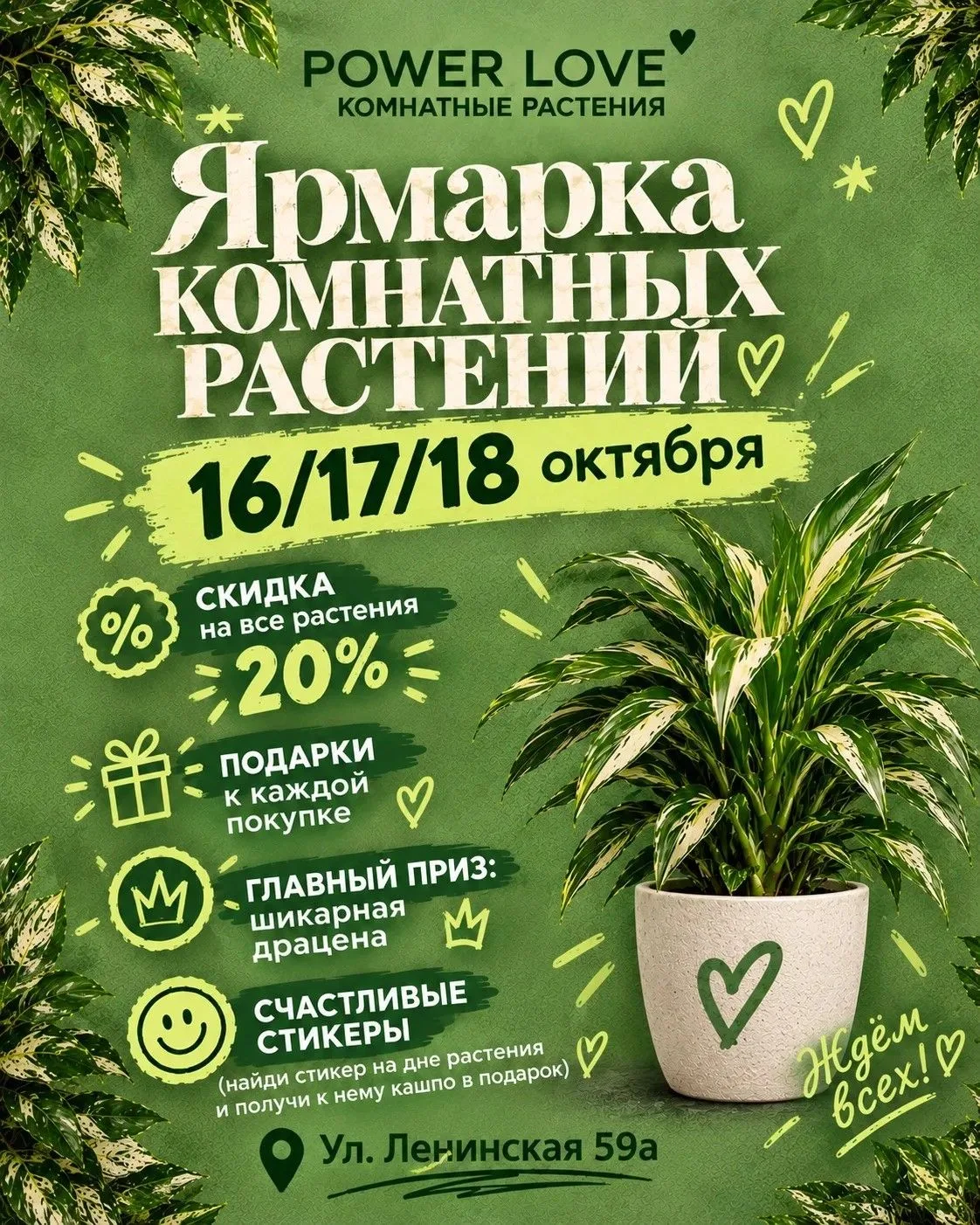 СКИДКА 3 ДНЯ 🔥- 20% НА ВСЕ РАСТЕНИЯ