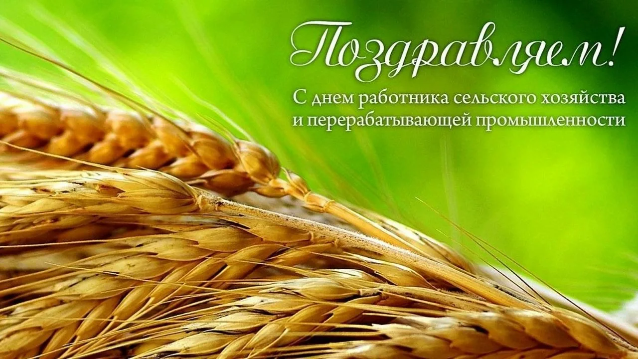 📅 11 октября отмечается День работника сельского хозяйства и перерабатывающей промышле...