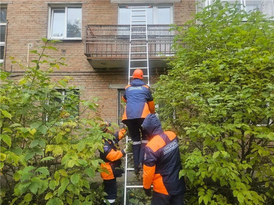 В Красноярске спасатели спасли женщину с инсультом, проникнув в квартиру через балкон