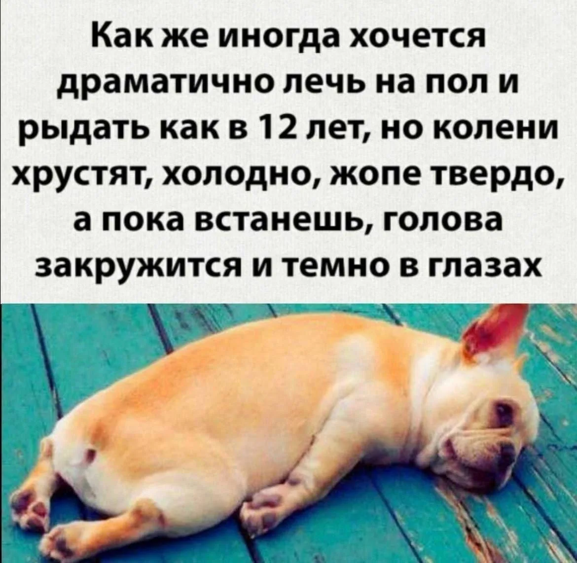 🤣Юмор в картинках