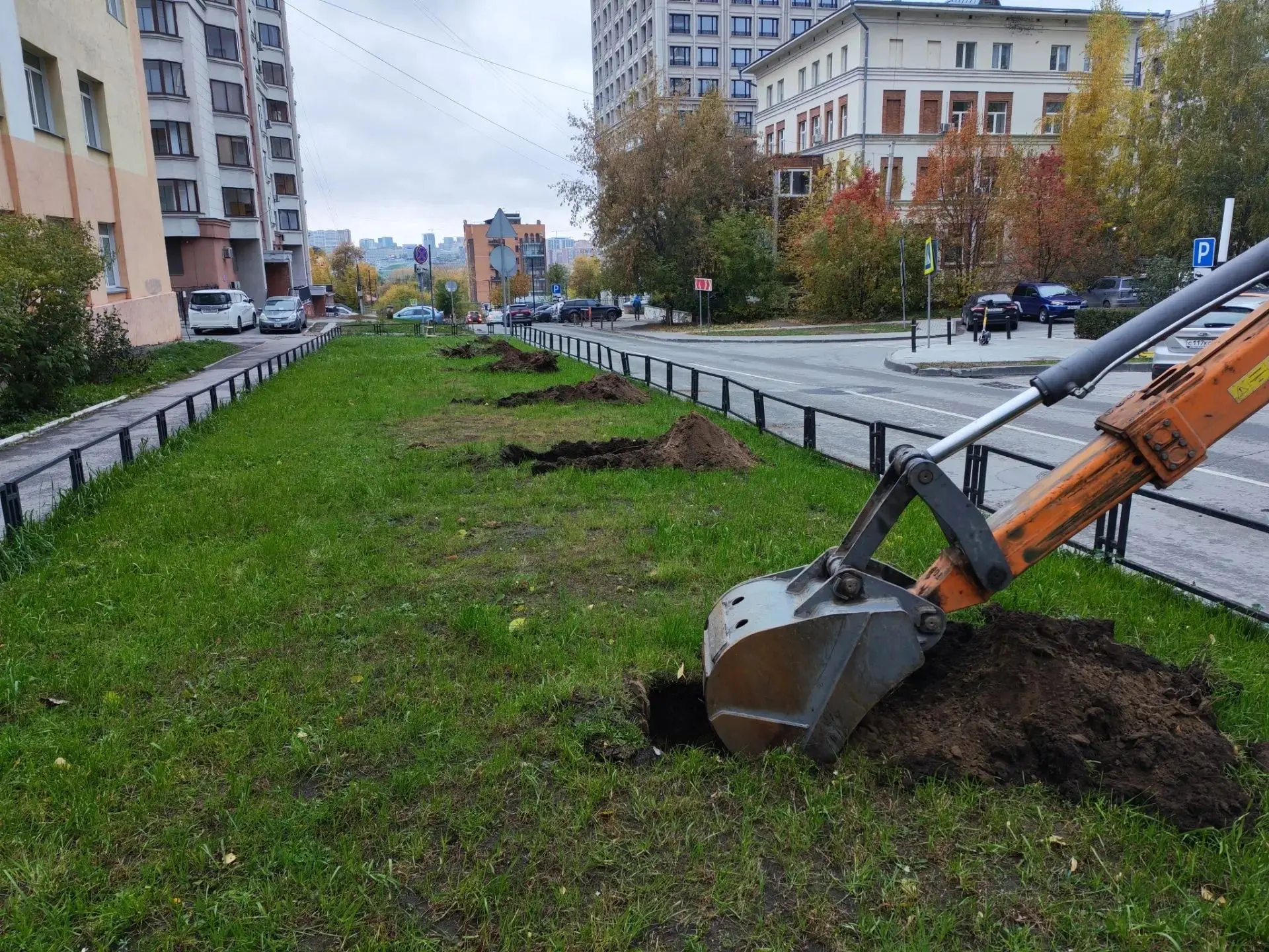 📢 Внимание! Липовая информация, или история о том, когда планируется высадка деревьев ...