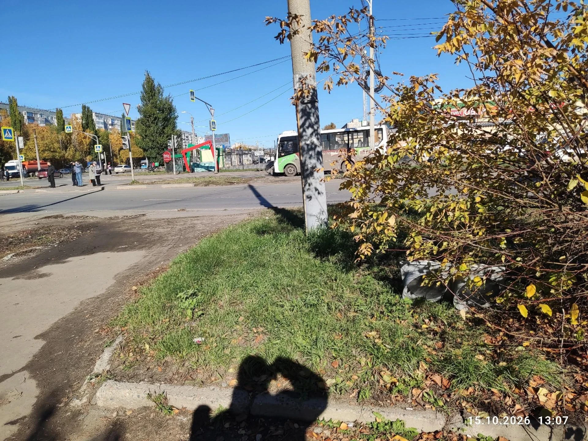 У кинотеатра Первомайского в кустах лежит светофор