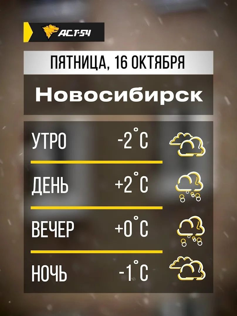 🌨 Сегодня течение дня в Новосибирске ожидается мокрый снег с дождём. Максимальная темп...