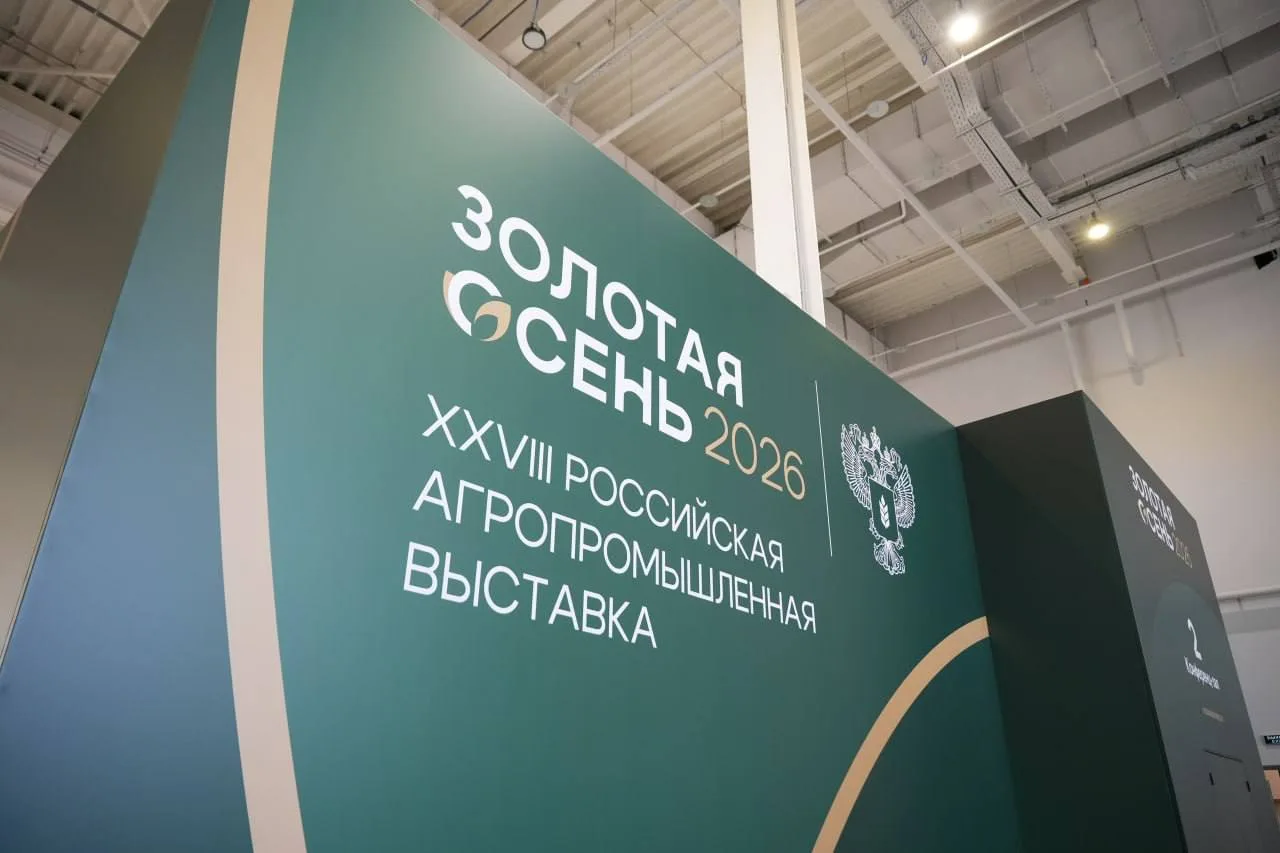 «Магнит» наращивает мощности хранения картофеля и яблок и ищет технологии для свежих ягод.