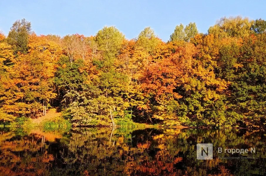 🍂🌞 Несем прогноз погоды в Нижнем Новгороде на ближайшие дни. Спойлер: до конца недели...