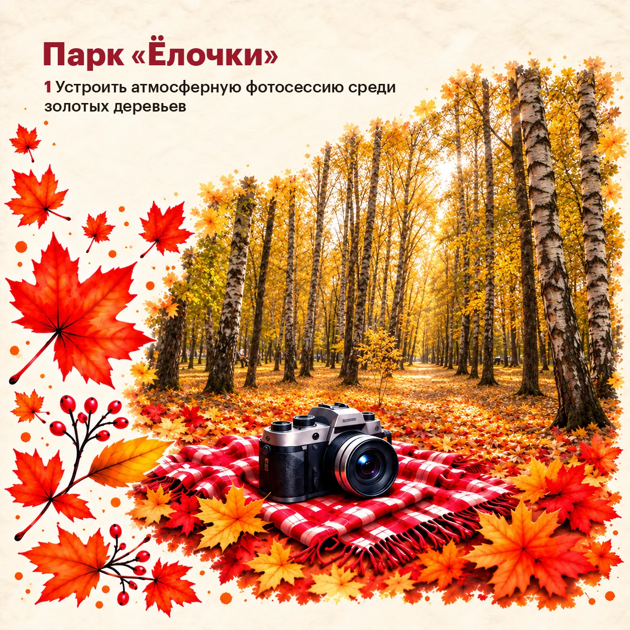 🍁 Осень уходит - воспоминания остаются!