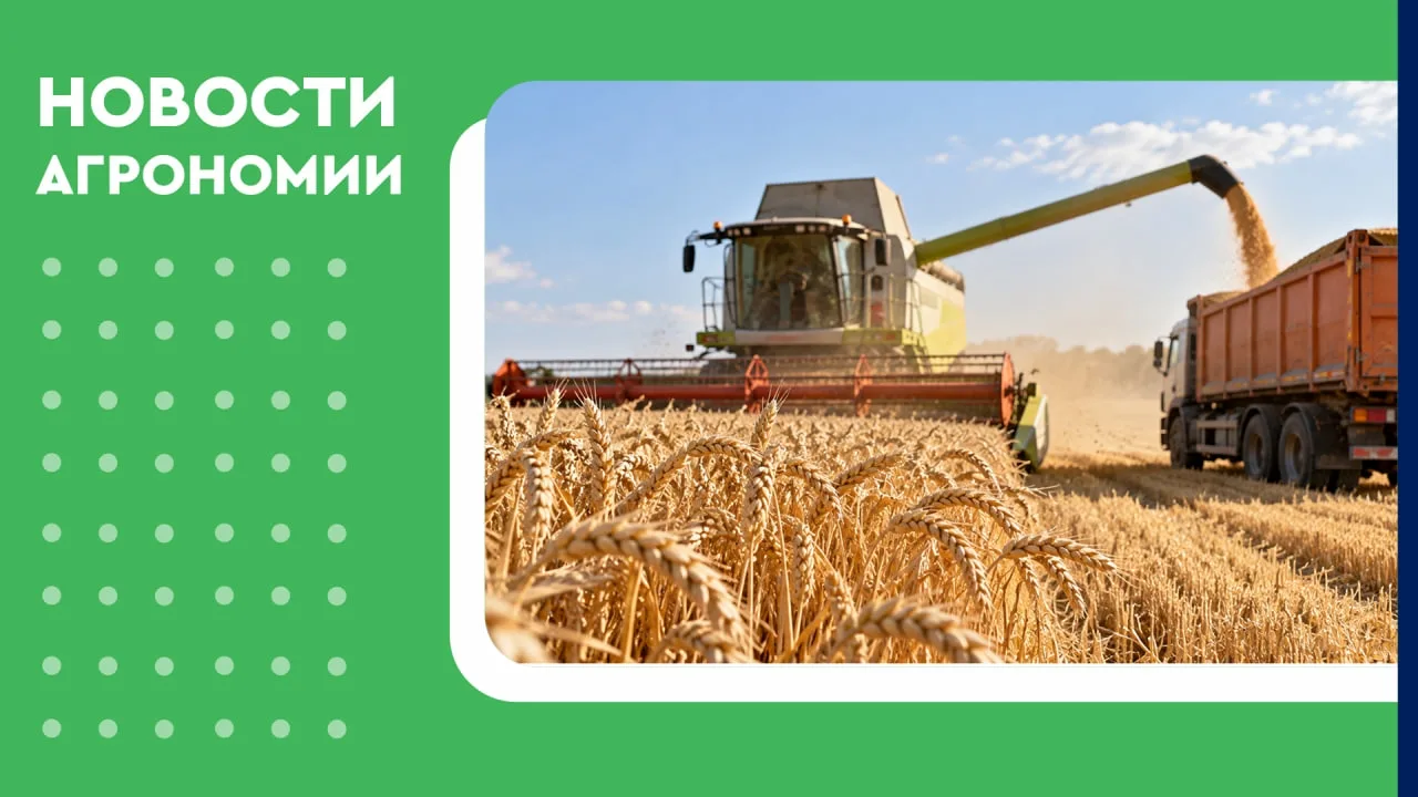 🤩 Ивановские аграрии почти завершили уборку зерна