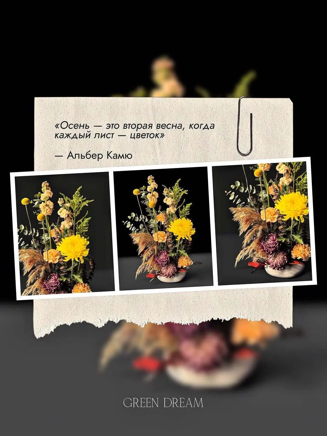 🍂 «Осень — это вторая весна, когда каждый лист — цветок». 🍁