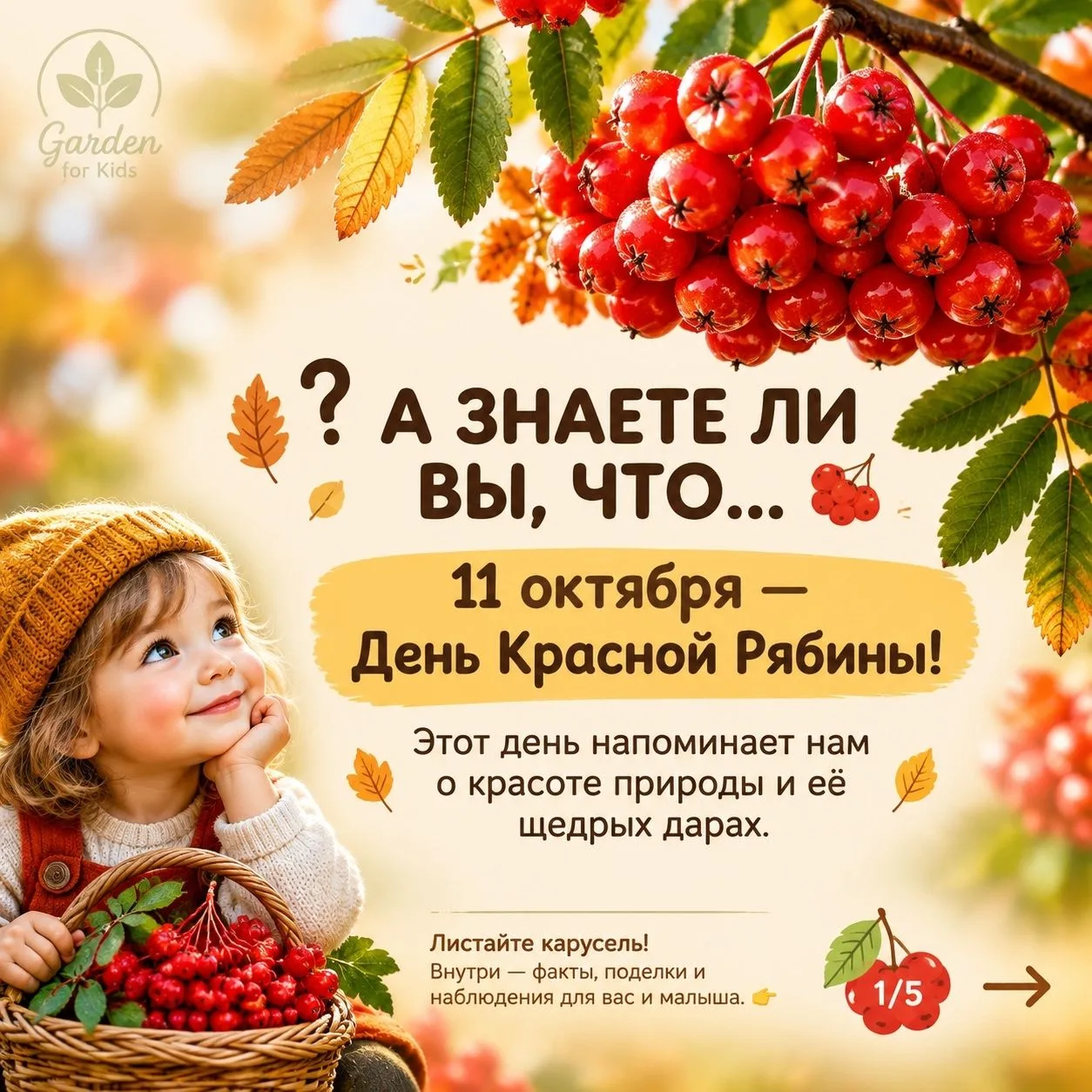 🌿Сегодня, 11 октября, мы отмечаем День Красной Рябины.