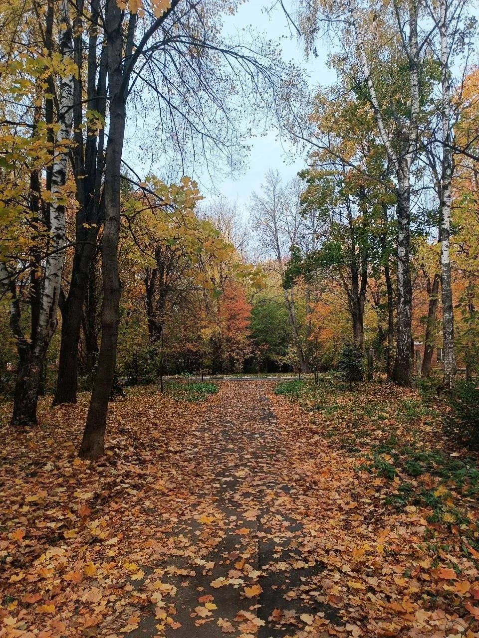Осень в городе 🍂🍁