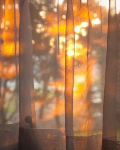 🌤 В Воронежскую область вернётся почти летнее тепло.