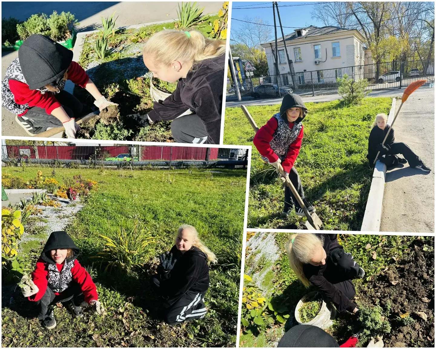 🍁 Золотая осень и тепло наших сердец: заботимся о школьном дворе 🍂