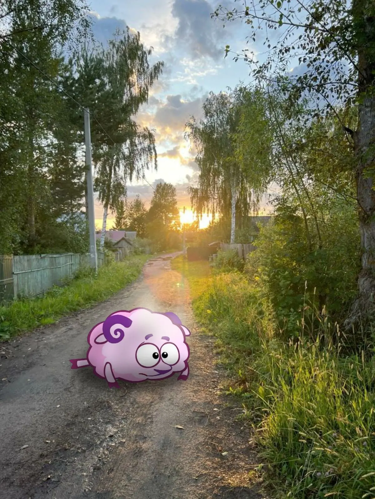 Мой муд: Бараш