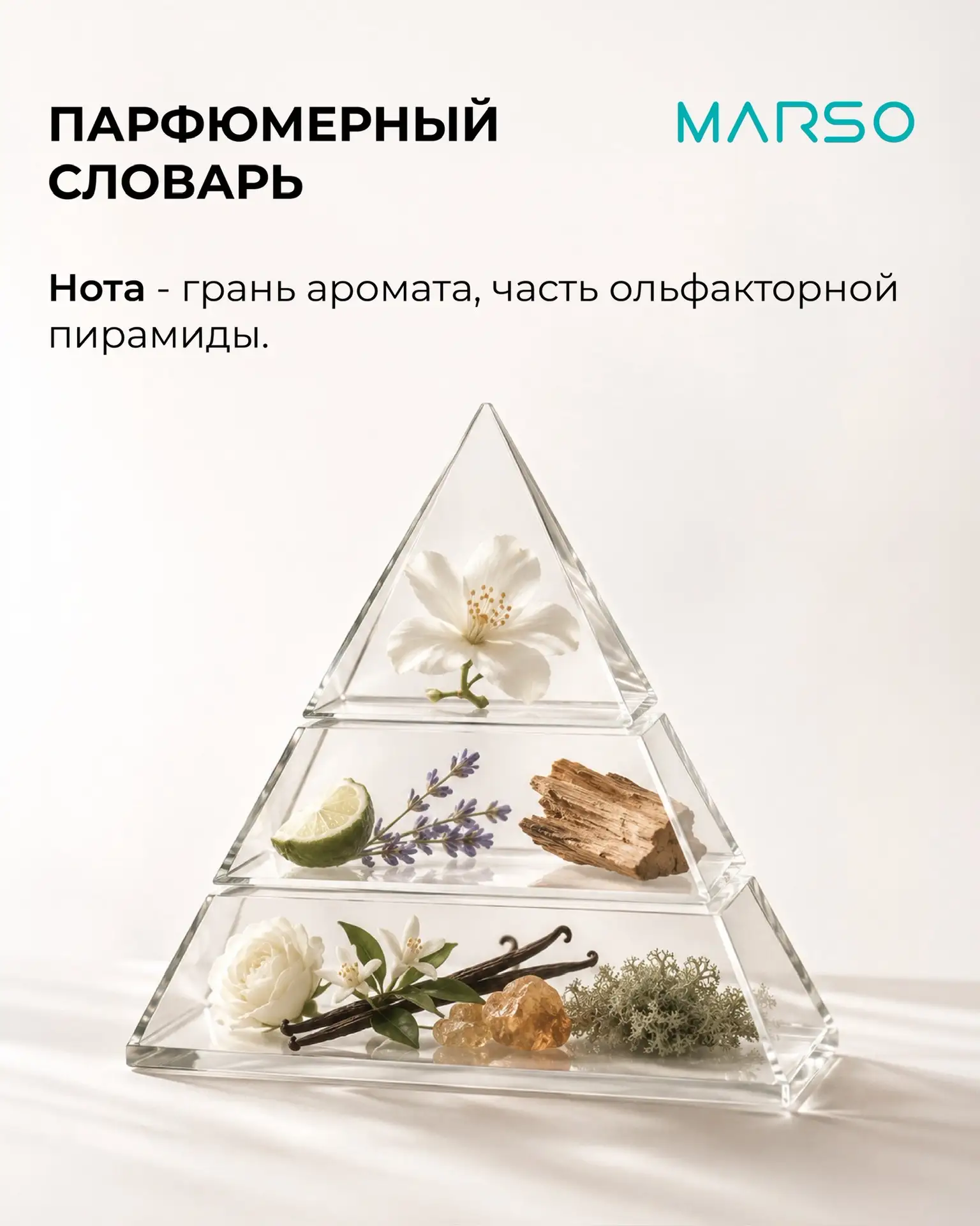 Сегодня посмотрим на ноты ваших любимых ароматов с описательной стороны.