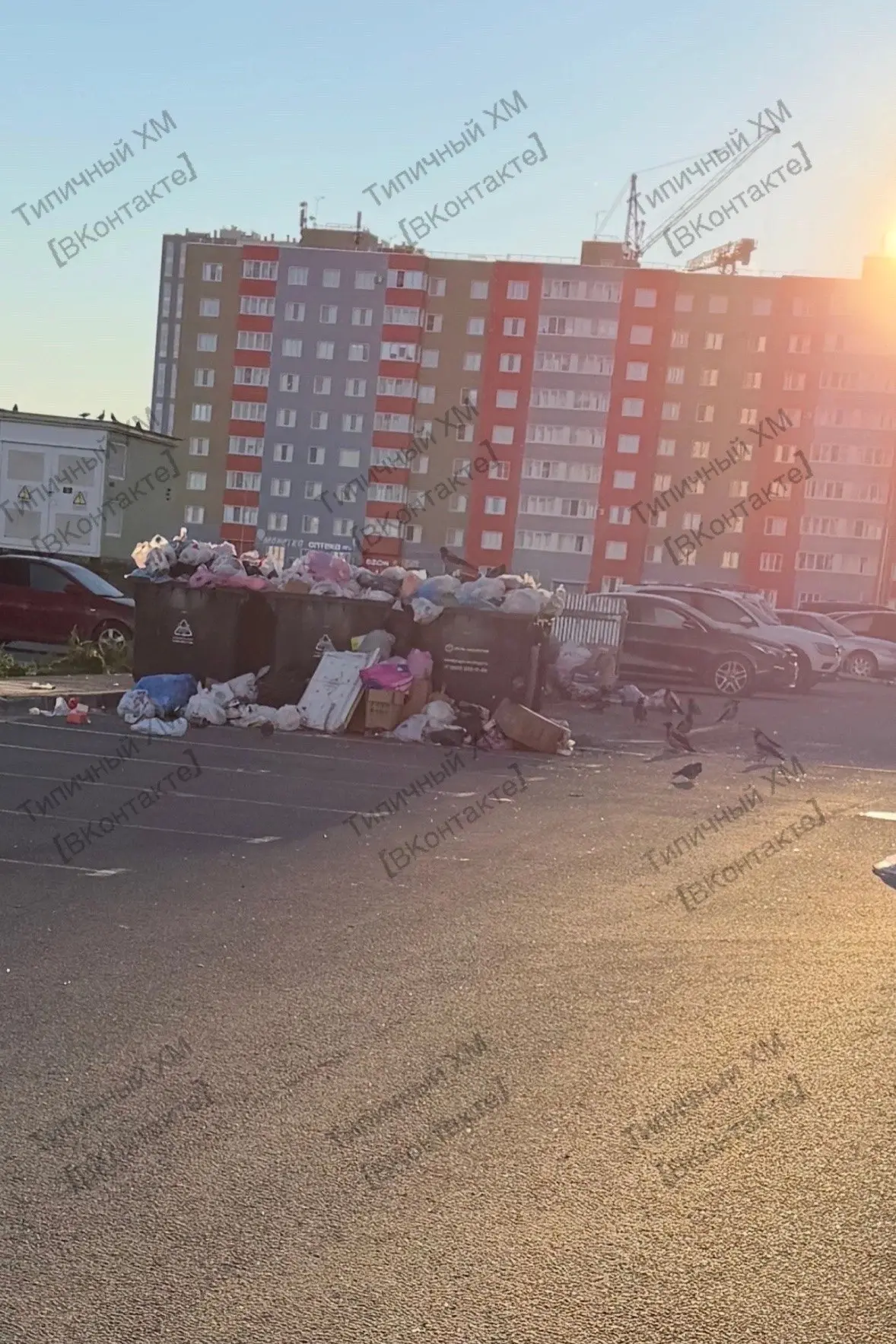 Прошу анонимно. Самаровская 8, просьба вывести весь мусор