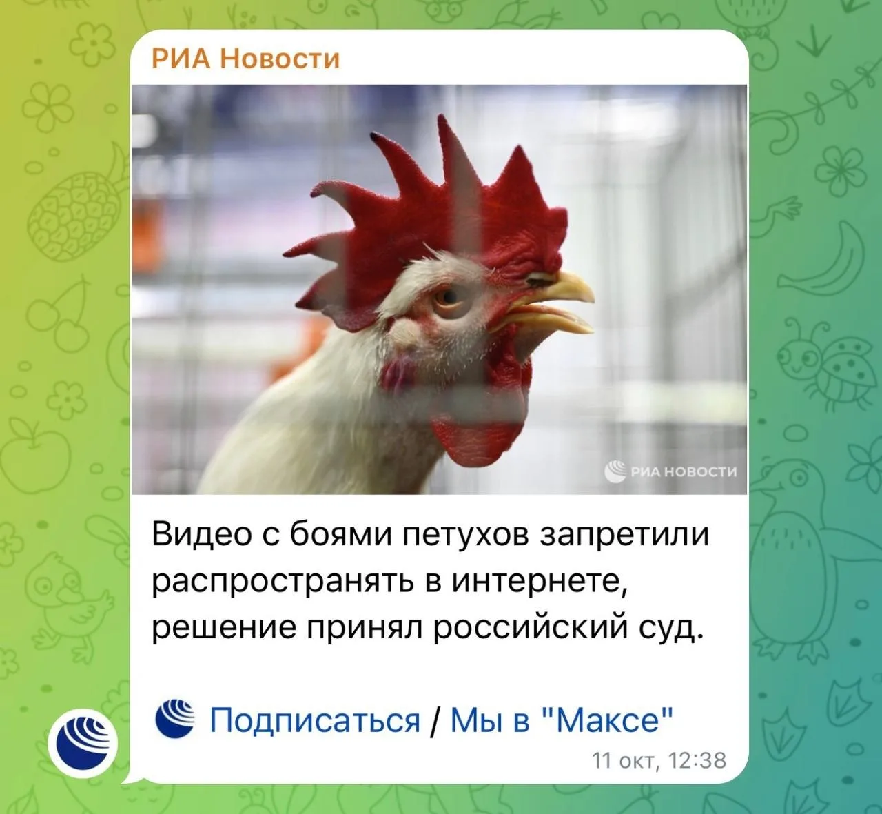 😂 В России официально запретили видео с петушиными боями.