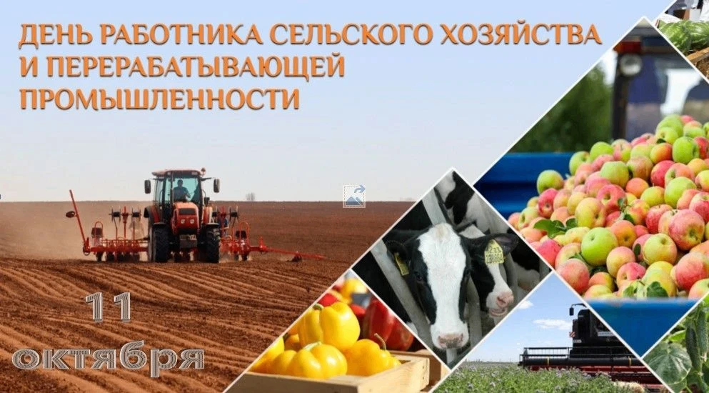 ♨ Праздники трудовых будней