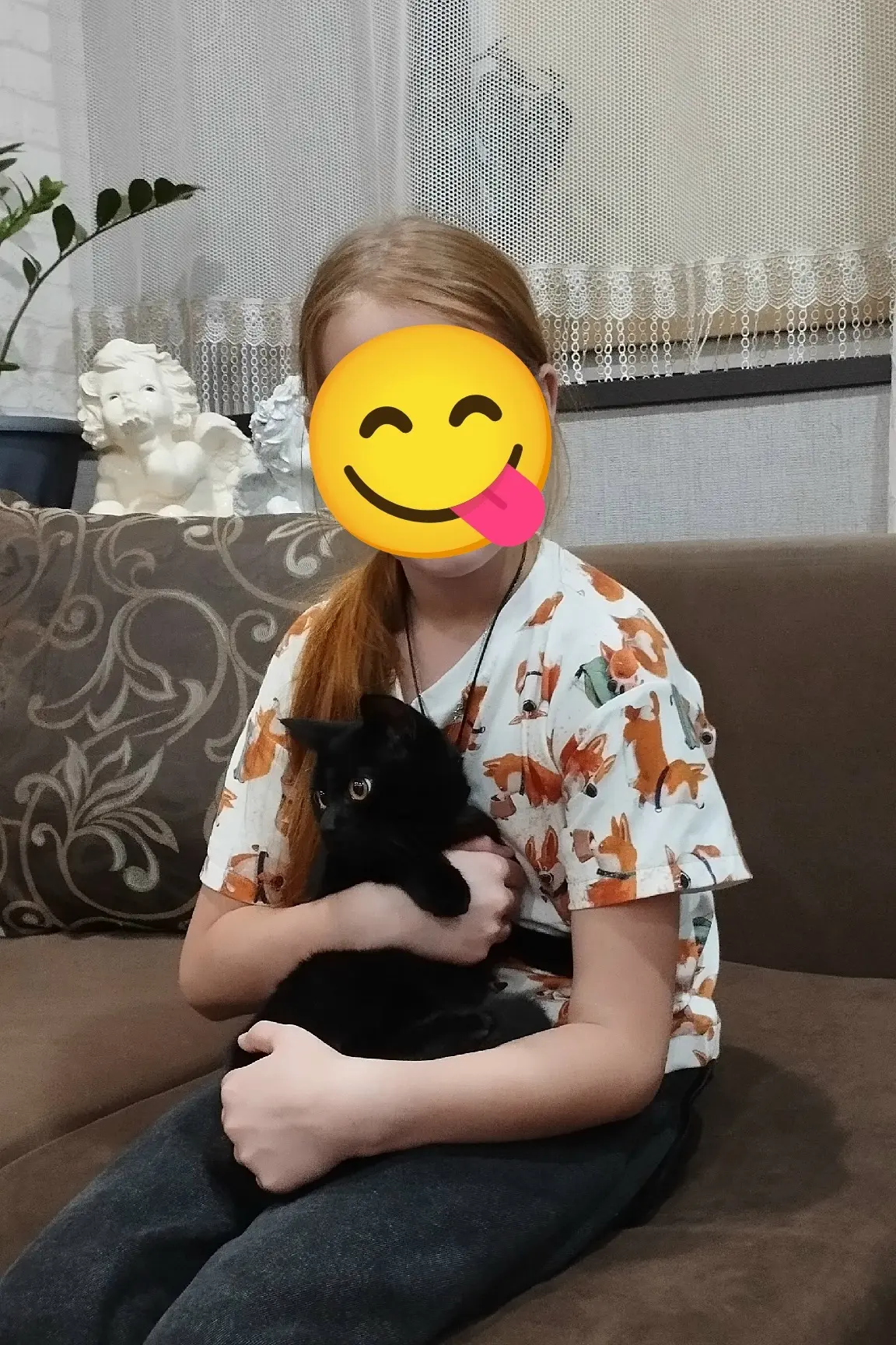 Потерялся кот. Район Алтайвитамины