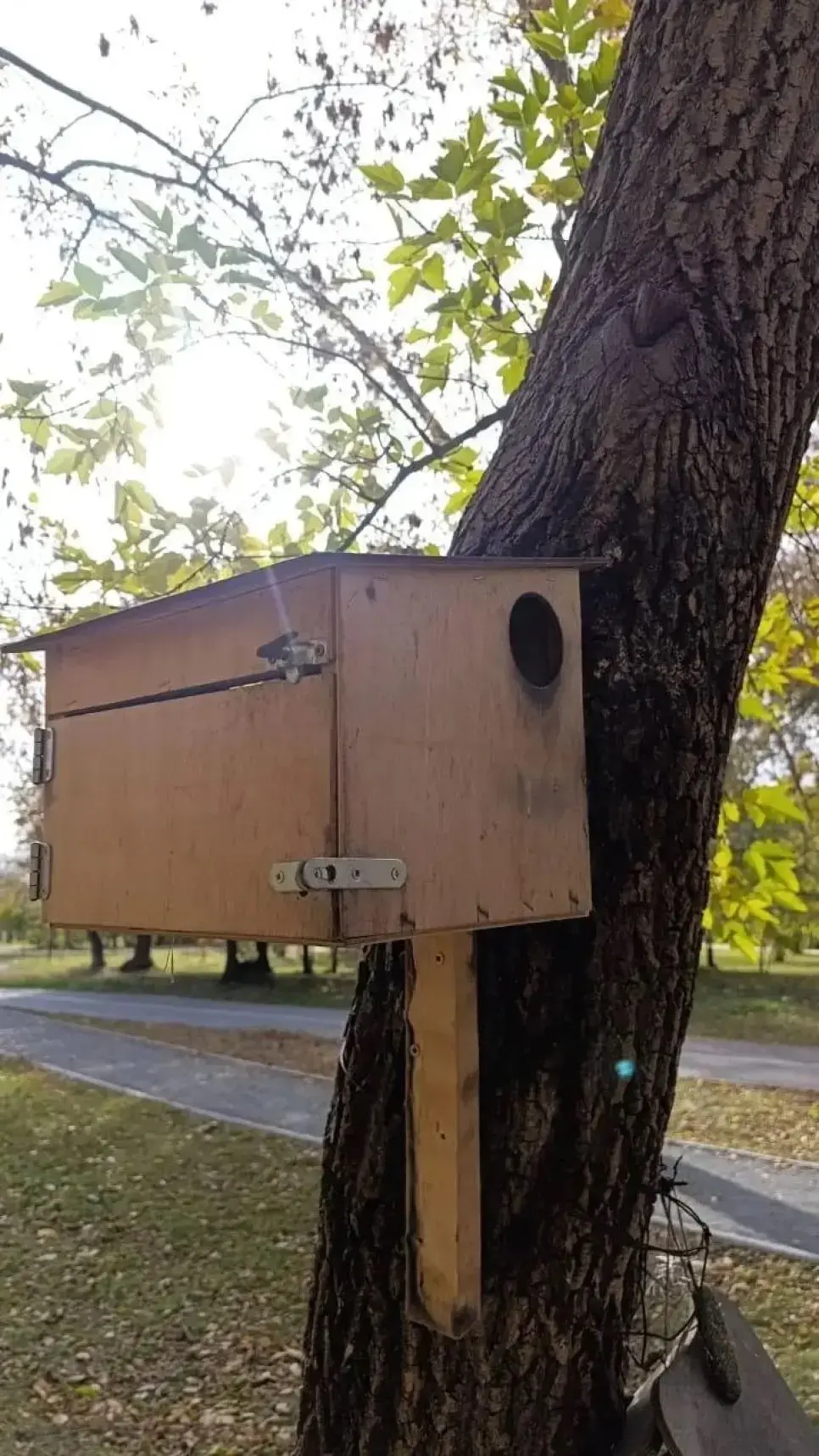 🐿️Барнаульцы объедают белок в Изумрудном парке