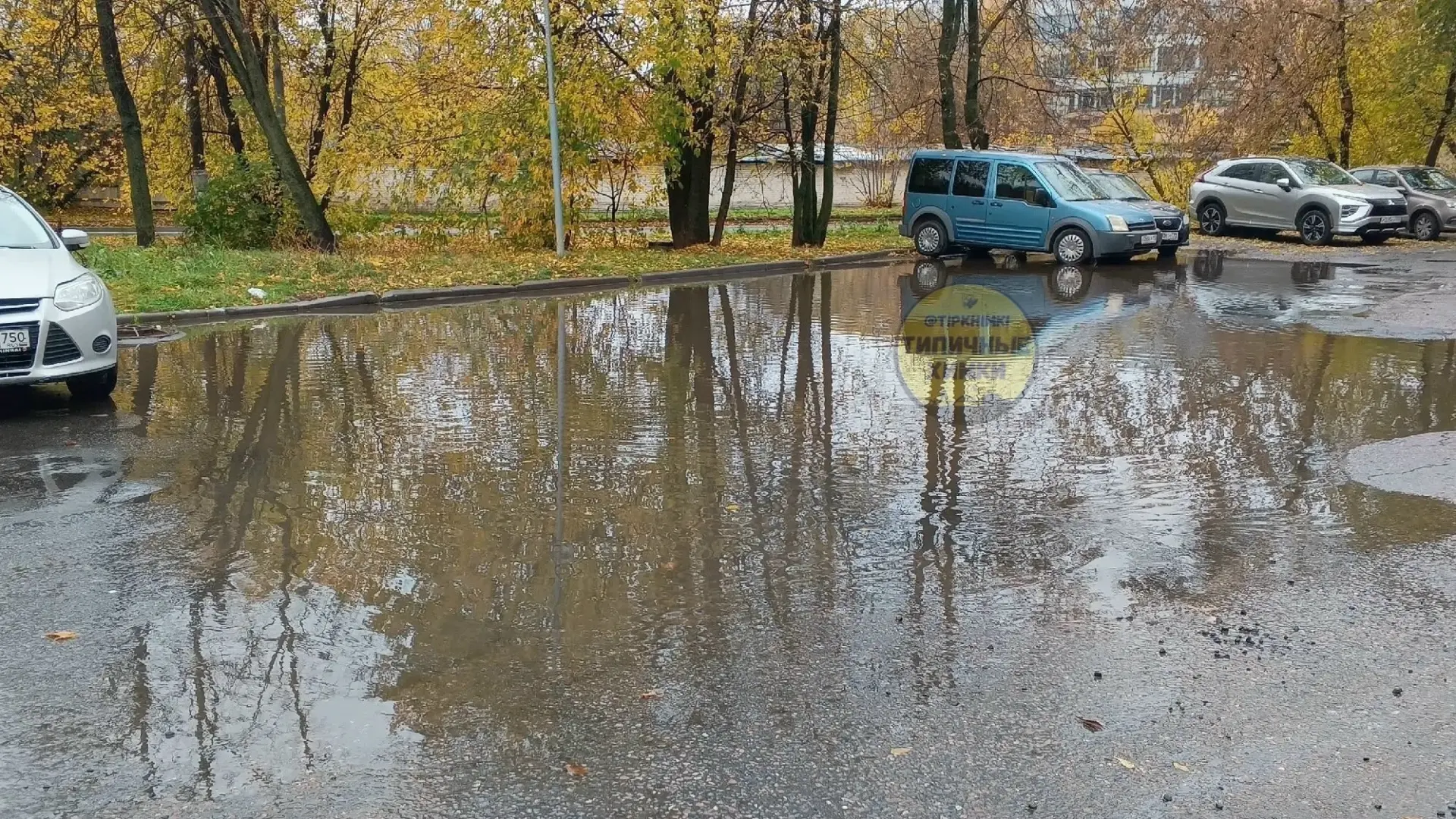 🏆 Лужа в Химках не сдаётся