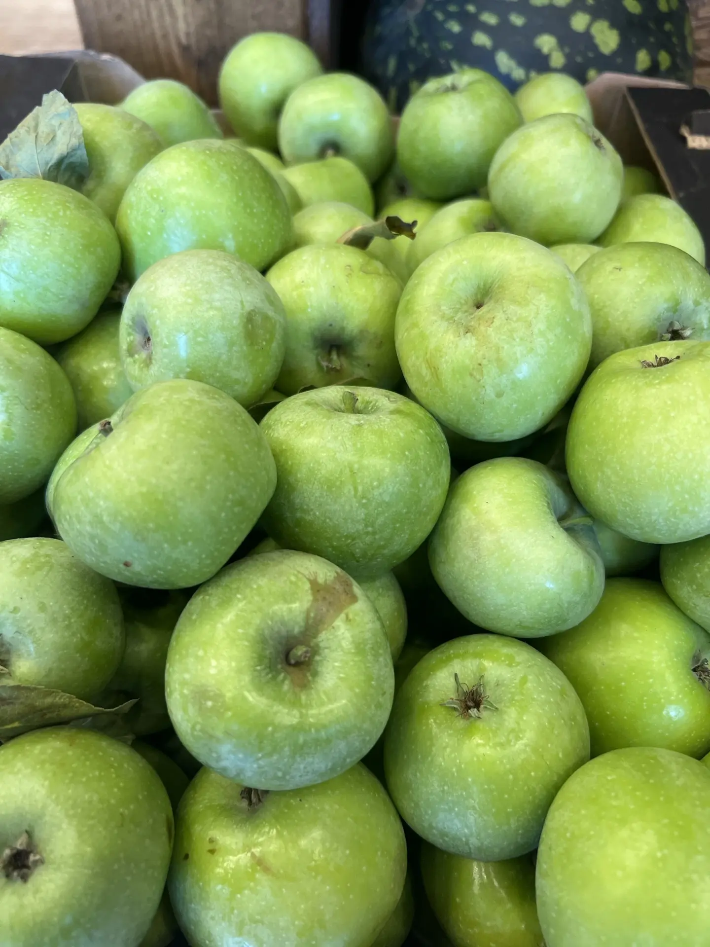 Яблоки 🍏 Симиренко .