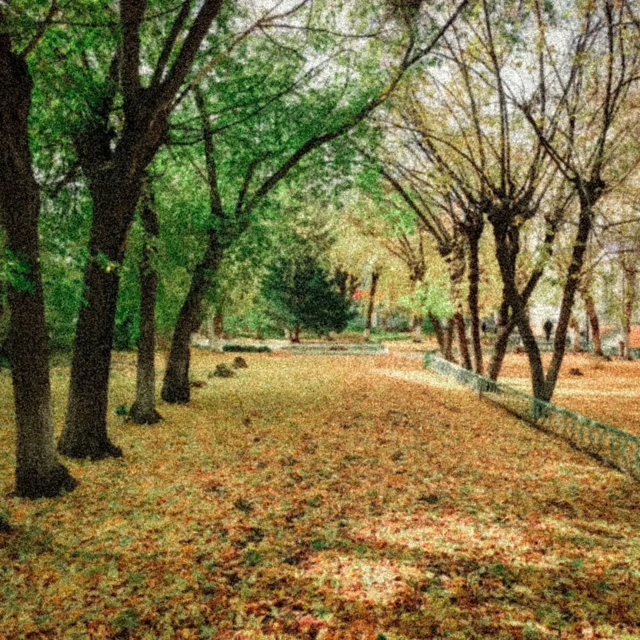 🍁Осенний Шадринск глазами студента гуманитарного института Радислава Рязанова.