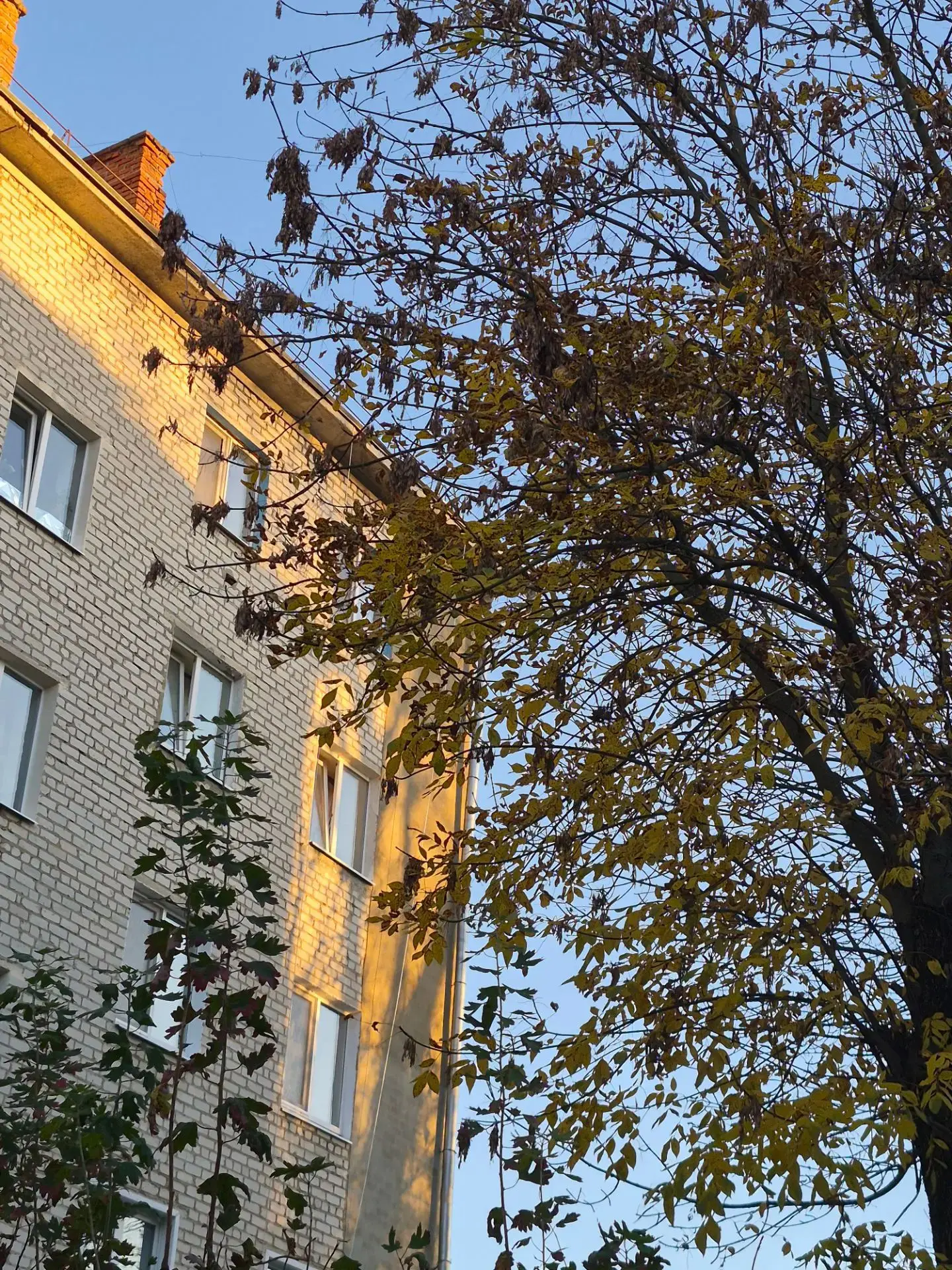 Спасибо большое Ксении Аксеновой за фото ♥️