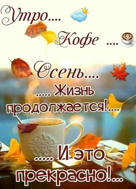 Доброе утро! Вы добрались до конца рабочей недели. Вы – молодцы! 🍁