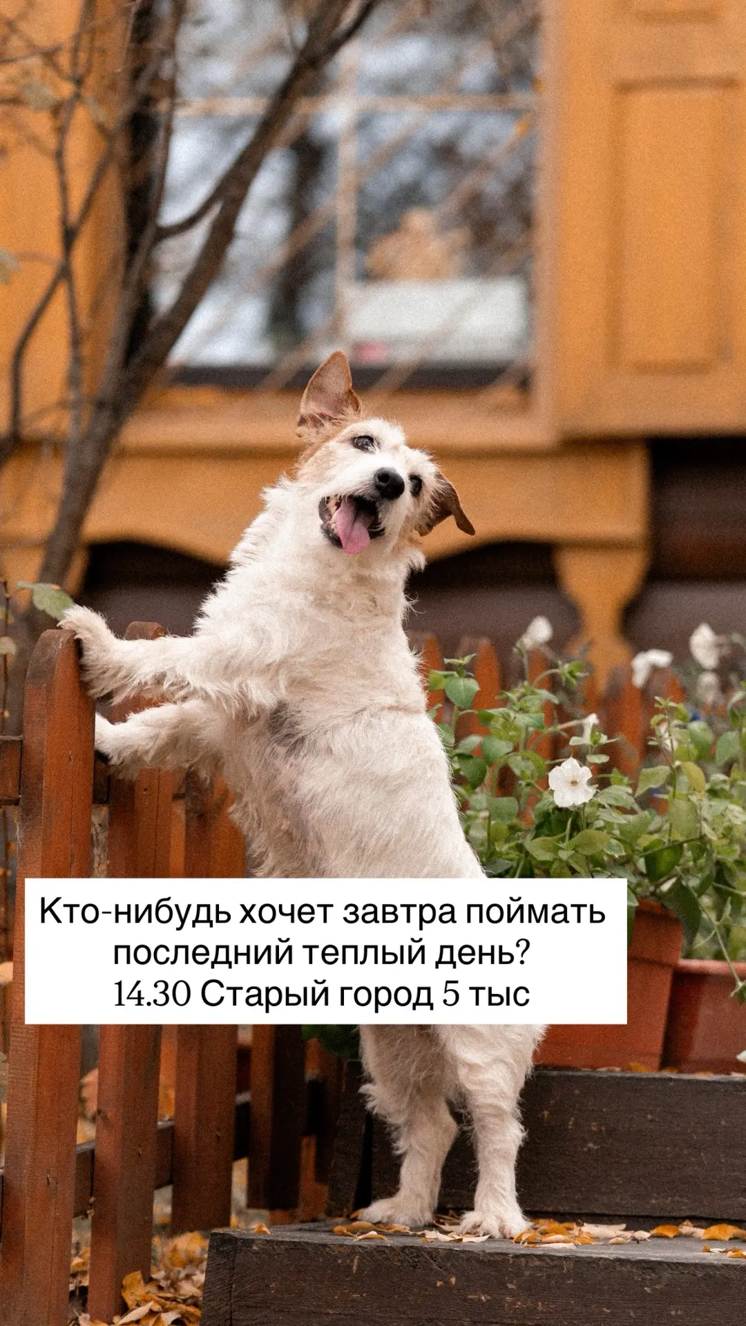 У кого детки с первой смены учатся? 😊