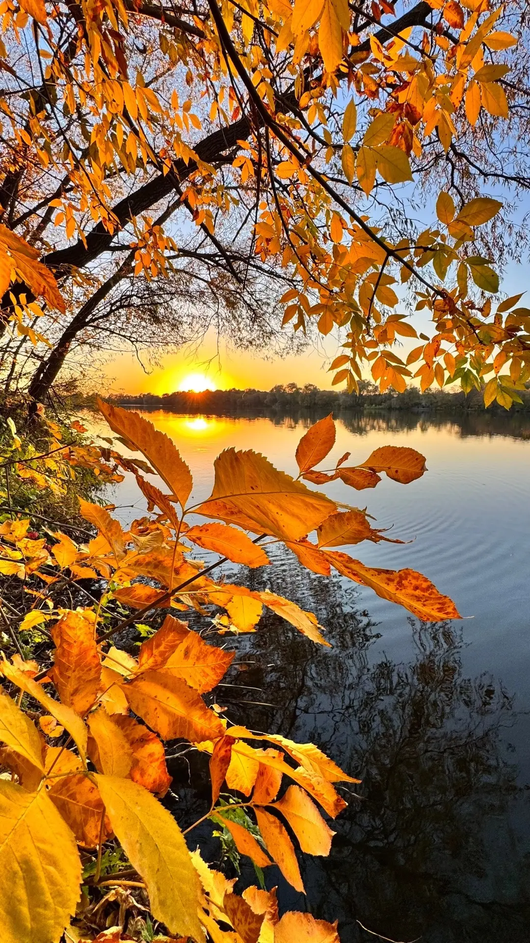 Золотой закат на озере 🌅🍂🍁🍂