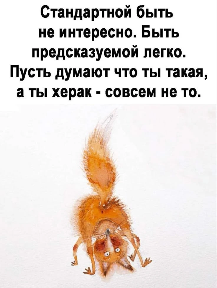 @pozdraf