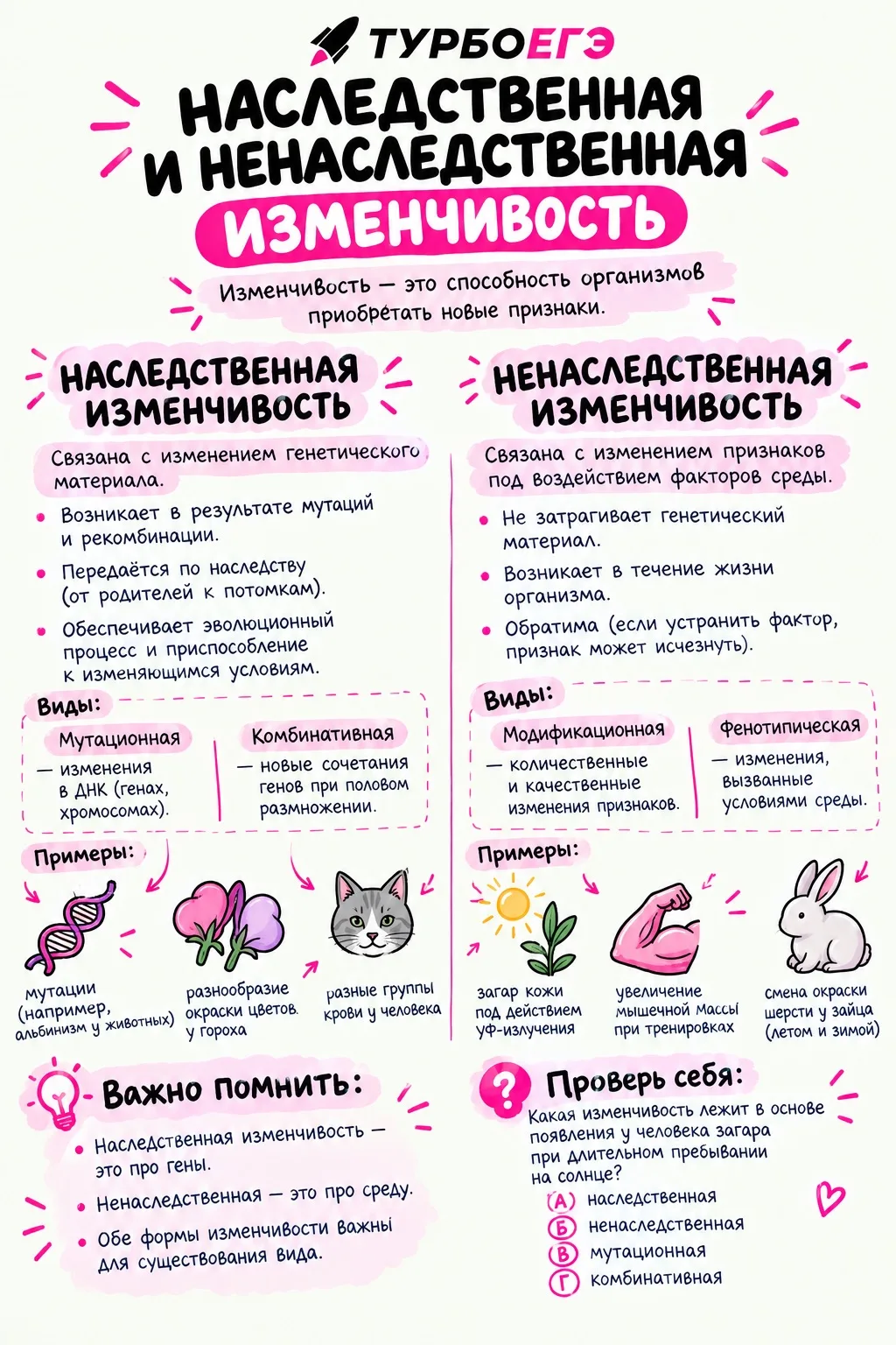 🧬 Наследственная и ненаследственная изменчивость