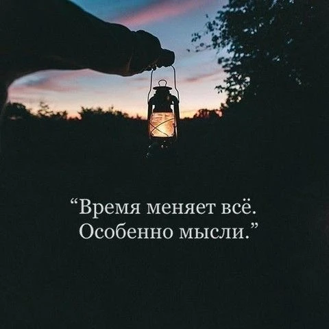 Чаще всего эту фразу приписывают Хюррем Султан — персонажу сериала «Великолепный век» и...