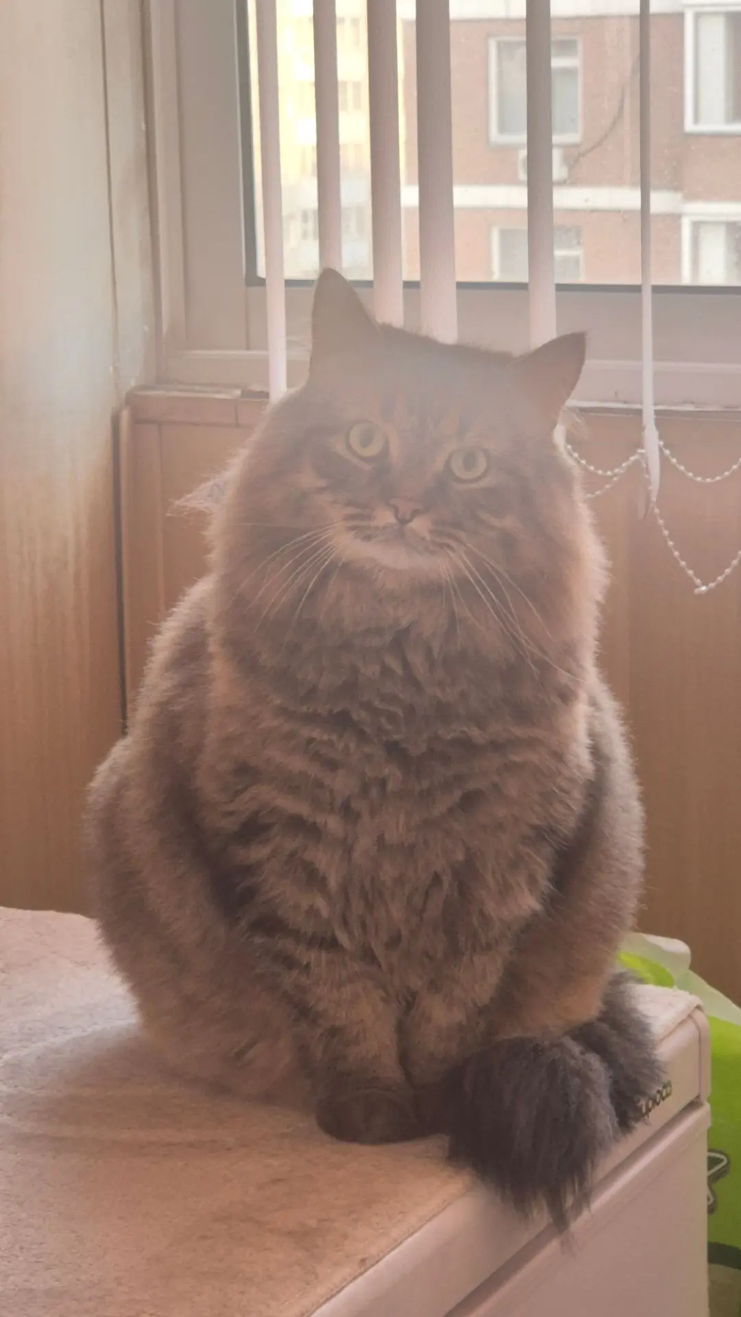 Всем хорошей продуктивной недели♥️