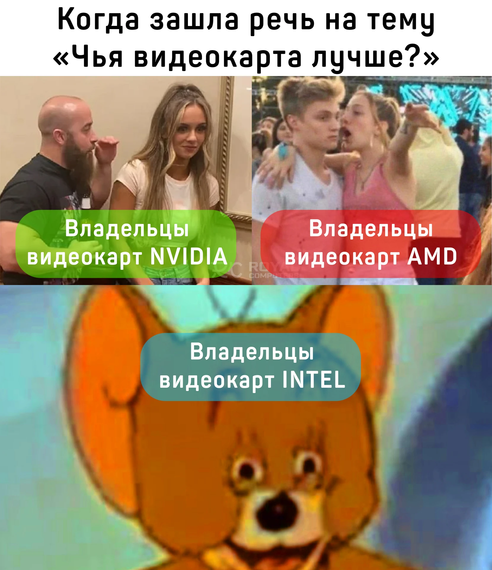 А вы из какого лагеря, орлы? 🦅