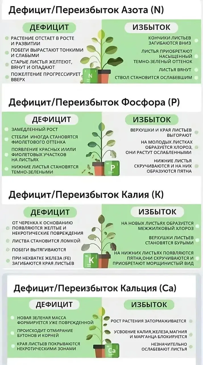 Шпаргалка ✍️