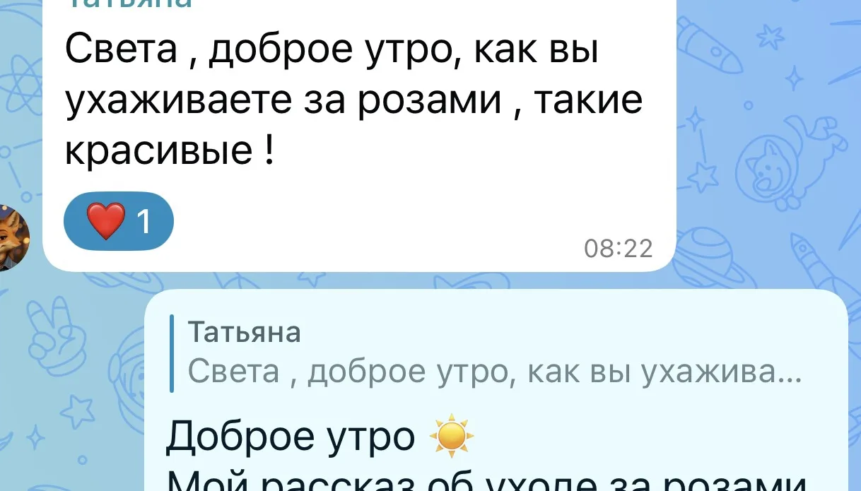 Я ждала подобный вопрос 😊