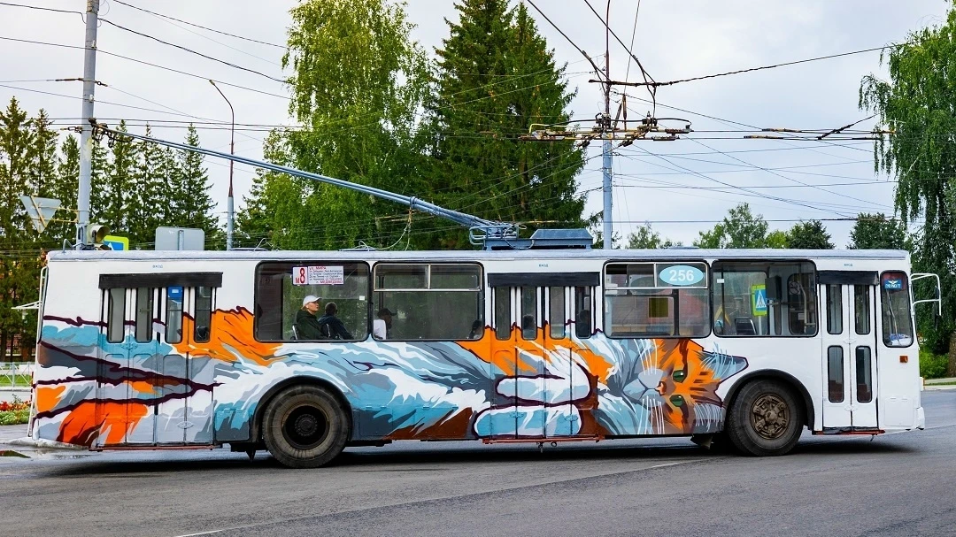 Автобус да троллейбусышто билетлан ак шергештын.