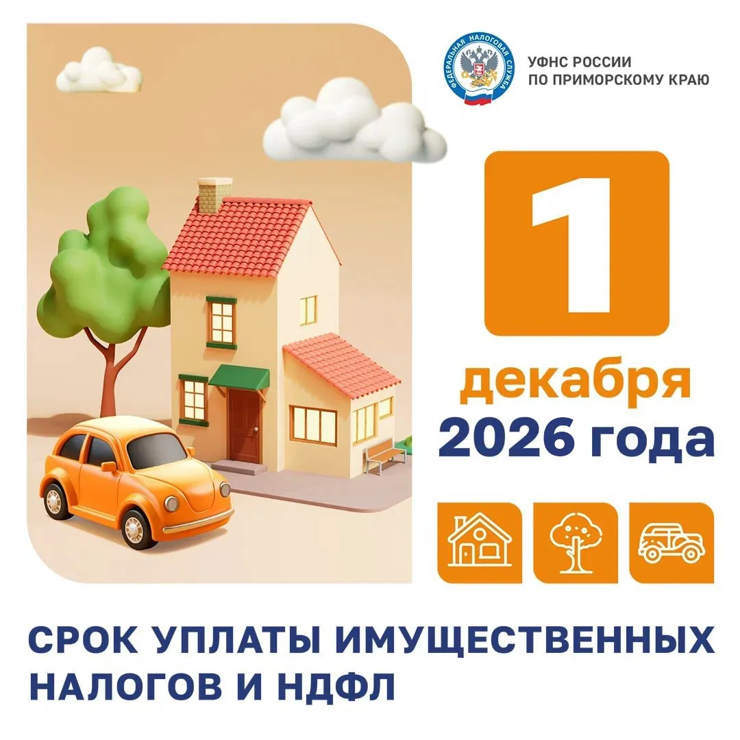 В Приморье начали рассылать налоговые уведомления за 2025 год.