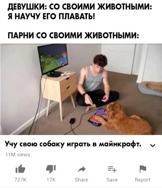 А у вас есть питомцы?