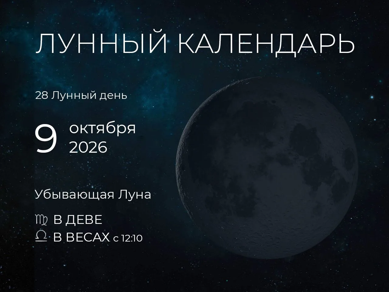 📆 Рекомендации дня: